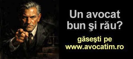 avocati in timisoara